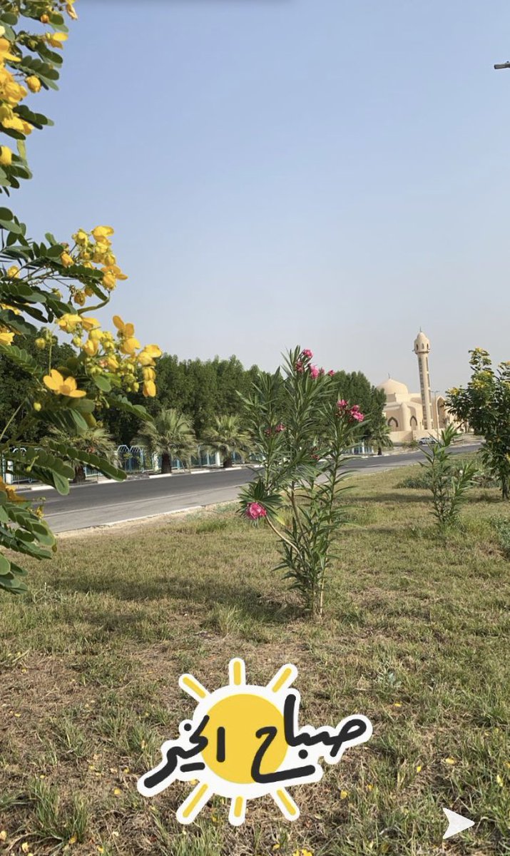 الظهران tweet media