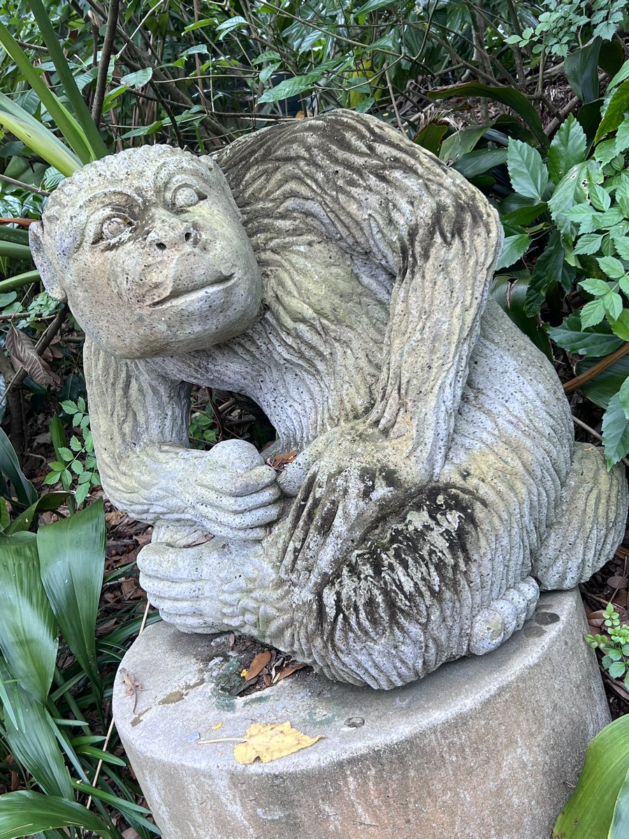 FlannelJedi's tweet photo. More Animal Kingdom fun from today! Including #TigerWall https://t.co/gAVtCHV3eT