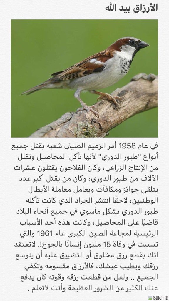 muhab33's tweet photo. https://t.co/KbcHvTF9sm