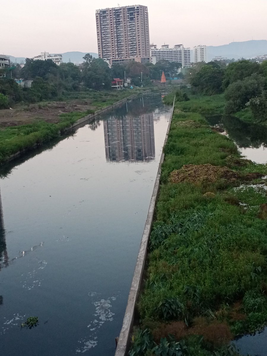 ROHITKUMBHOJKAR's tweet image. #RiverFrontDevelopment
नदी पात्र सुशोभीकरण का झाल पाहिजे यासाठी दोंन महत्वाची कारण खालील प्रमाणे.
दोन आठवड्यापूर्वी मी नदीपात्रातील एक फोटो इथे पोस्ट केला होता ज्यात #जलपर्णी ने नदीवर पूर्णपणे पांघरूण घातले होते ज्यामुळे नदीचा श्वास निश्चितच गुदमरत होता 
1/n
#RohitPens