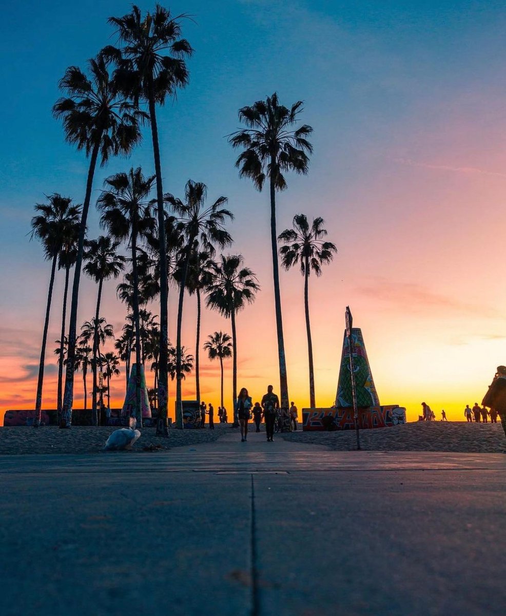 LosAngelesJP's tweet photo. 引き続き #ゴールデンウィーク 後半をお楽しみください🌴
📍: #ベニスビーチ
📸: @ lenafound
#ロサンゼルス観光局 #ロサンゼルス https://t.co/t5mFkiEDhU