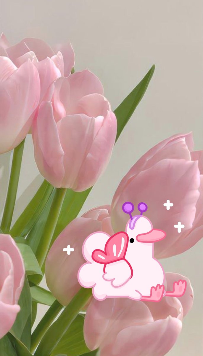 lulumckown's tweet photo. Woopwoop I’m here to see how your doing 🦆💞💗 https://t.co/ofpHMGD9wu