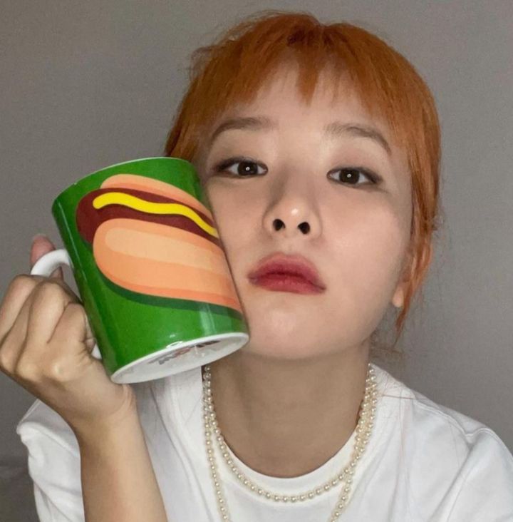 𝙎 𝙤 𝙛 𝙞 𝙖 🦤 tweet media