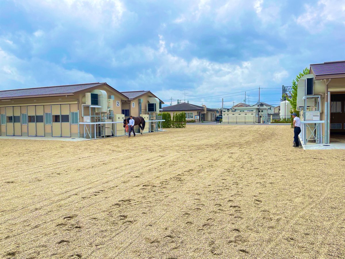 jta_official_'s tweet photo. リニューアルされた京都競馬場の厩舎エリアと厩舎です！
あいにくの天気と写真の技量が残念なので伝わりにくいですが、厩舎エリアもめっっちゃ綺麗です✨😆 https://t.co/d0VYtIz8QE