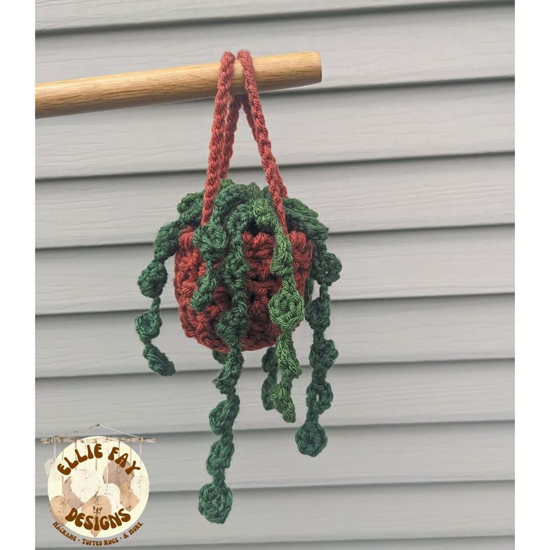 EllieFayDesigns's tweet photo. Crochet car plant hangers. 🌿💚

✨ Link in bio ✨ https://t.co/69gYaP1Oqu