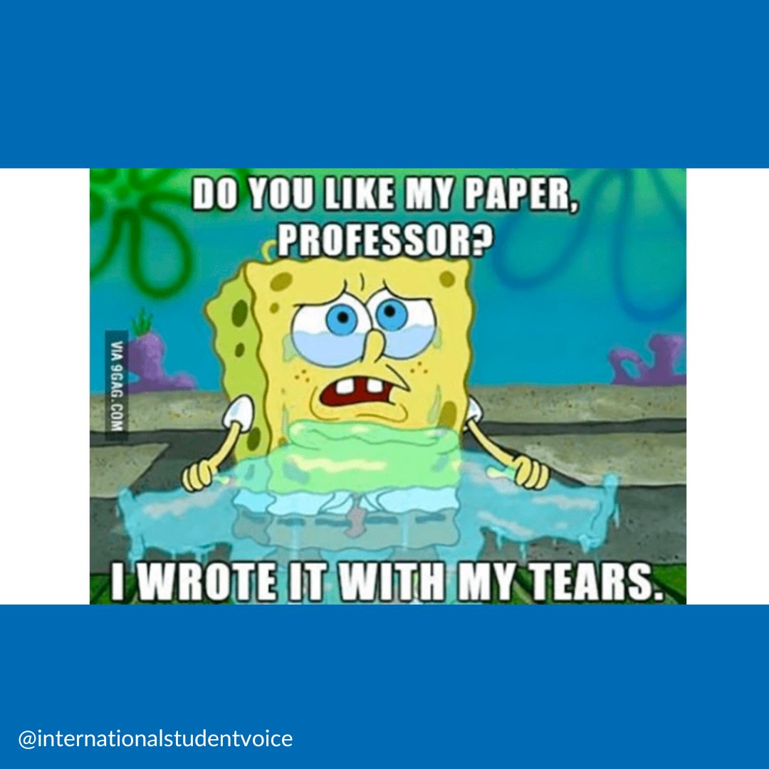 IntlStuVoice's tweet photo. Please...please...let this essay be good enough 🤞
.
.
.
#internationalstudents #internationalstudentlife #internationalstudent #finalsweek #college https://t.co/IS1cSikAJT