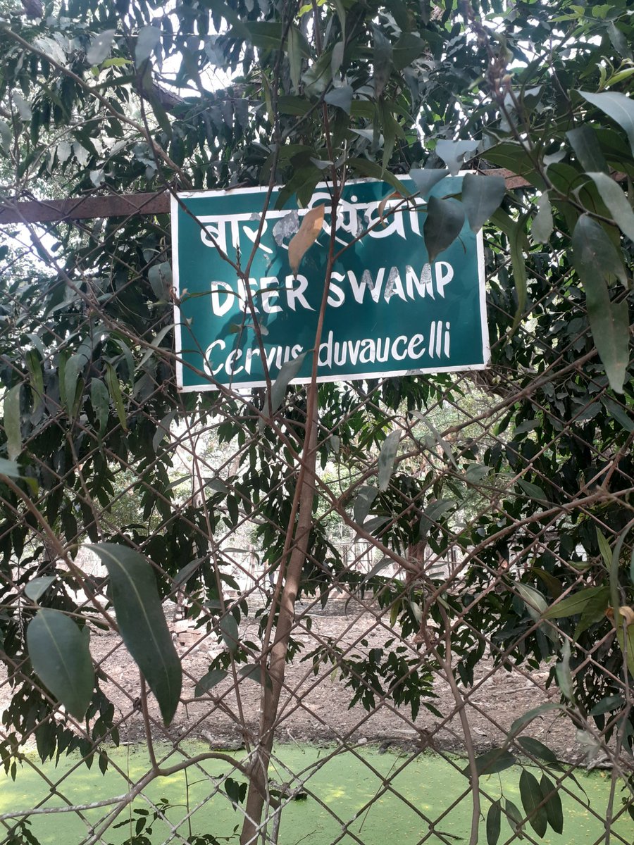 jpvaishali's tweet photo. माननीय पर्यावरण,वन एवं जलवायु परिवर्तन मंत्री @TejYadav14 भैया यह पटना के चिड़ियाघर में संरक्षित बारहसिंगा के पीठ पर बड़ा सा घाव है और कोई इलाज और देखने वाला नही है तथा चिड़ियाघर के काफी पेड़ पौधे सूख गए है।।
@Live_Hindustan @JagranNews @DainikBhaskar @News18Bihar @ https://t.co/lRFrR0G2P4