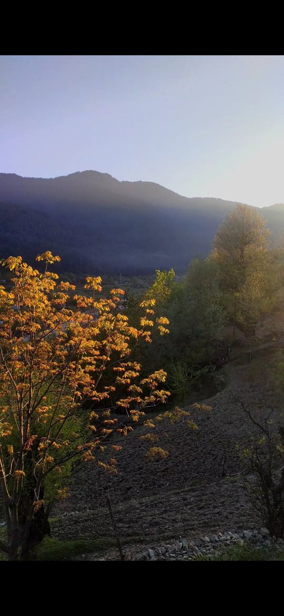 basharat726's tweet photo. Nature Calling #Trending  #nature #KashmirTourism https://t.co/PGu4zFDAXu