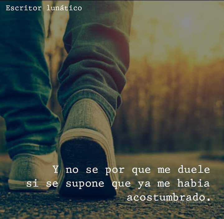 RotaporD's tweet photo. No se porque ...

#TuPoesía 
#SoloVos https://t.co/ozvvuh2Id3