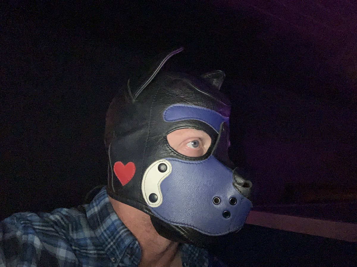 Friday, April 28, 2023 
I, Pup Timber,  made my way back into the puppy realm after a 3yr 2mo hiatus to work on myself. It was good to be back among all the cute/nice pups. Thank you #barknite for a great evening #PuppyPlay #LeatherPup #BluePup #HumanPup #CustomBlue #MrSLeather
