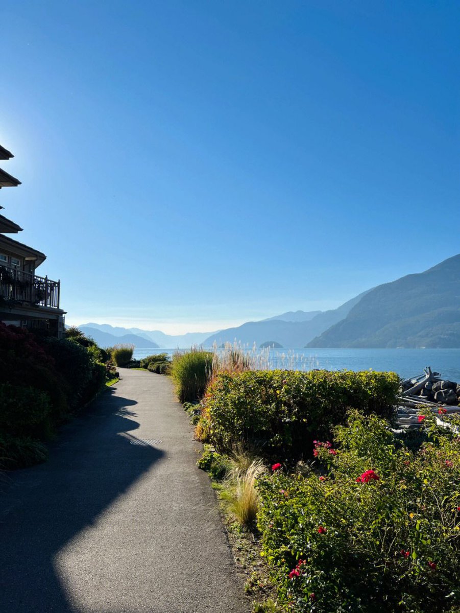 #I like big blooms and I cannot lie. 😀#Sea