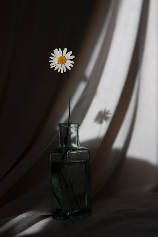 folkloreads's tweet photo. hay una letra de You're On Your Own Kid que me parece muy inteligente, y no se habla lo suficiente de ella... me refiero a:

"I see the great escape, so long, Daisy May
I picked the petals, he loves me not
Something different bloomed writing in my room"

[ABRO HILO DE ANALISIS] https://t.co/sXO68rmxb5