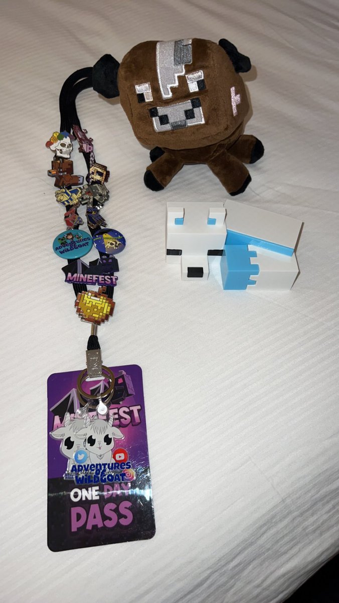 minefest was incredible! got some more pins to add the the collection and a few other goodies :) <a href="/minefest_us/">BlocksCon</a> was an amazing time! loved being able to meet friends and see more friends again!