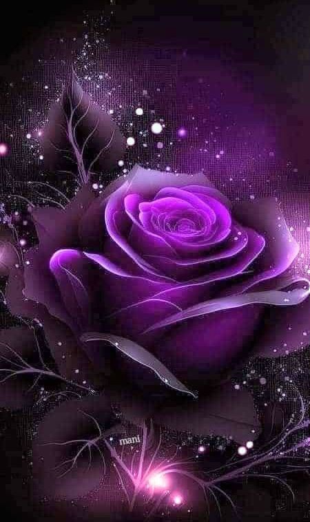 ranasilvia63's tweet photo. @Almis_39_Cgs @FIRSTGODISLOVE @BrendaBelemS @Nathyan1997 @RosaNegra_08 @PixieCarterS2 @Mariposantoin @2015Suheyla @GValiente22 @CgsAlmis @Karly928 @YekiAlare @azel0va @mrl_q20 #MafiaVIP
#DinastiaMilenials 
@FIRSTGODISLOVE 
@Almis_39_Cgs @BrendaBelemS 
@Nathyan1997 @RosaNegra_08 
@PixieCarterS2 @2015Suheyla 
@Mariposantoin @GValiente22 
@Venus__2023 @CgsAlmis 
@Karly928 @YekiAlare 
@azel0va @mrl_q20 
♥️💯🎀👑🥀⚘️ https://t.co/GtEykVXKkc