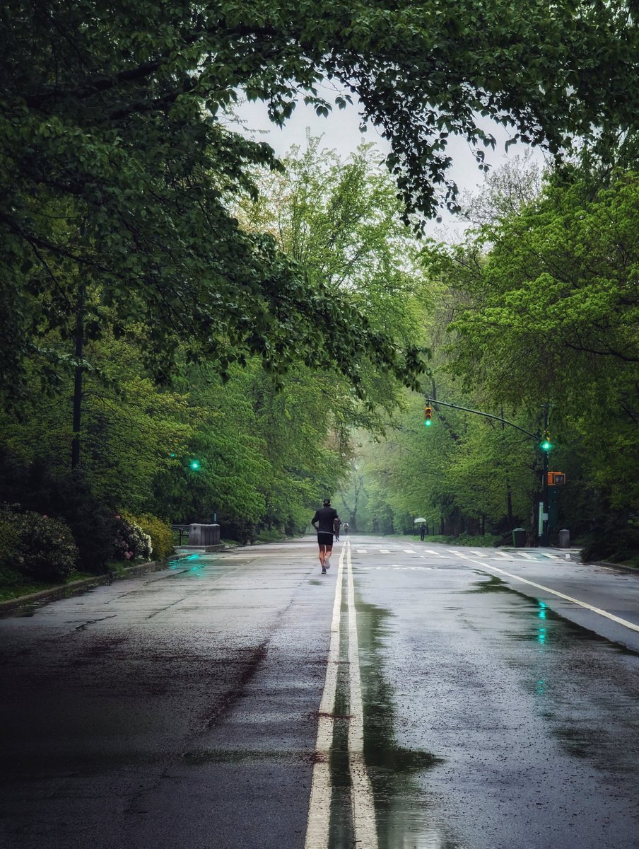 agulosso's tweet photo. Llovio todo el dia pero la buena noticia es que asi podes encontrar Central Park vacio para una buena descarga. #runningsnaps #NYC https://t.co/Q5VMuYJNm1