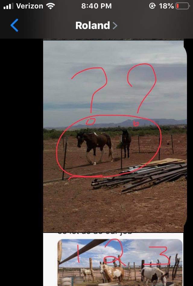 PyrettaJ's tweet photo. @Ancestorscreate @standingrock68 See now THATS what a proper stable looks like! It has SHELTER from heat and bad weather. Horses don’t have to be TIED to corral fencing strung together with bale wire and scraps of wood. Horses have proper FOOD and WATER! AND STILL YOU SUPPORT THIS ANIMAL MURDERER!!! HOW?? https://t.co/W7xeZgyjoC