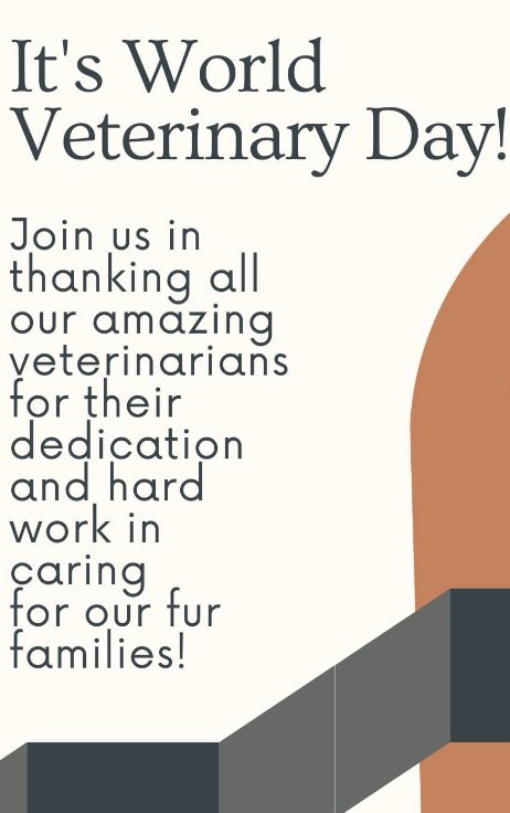 omligold's tweet photo. Thank you to all the vets for your dedication and hard work taking care of our animals  @WorldVetAssoc #animals #veterinarians #animalplanet #municipal #AnimalWelfare #localgov #caos #mayors #councillors #community https://t.co/lpXMEULZHt