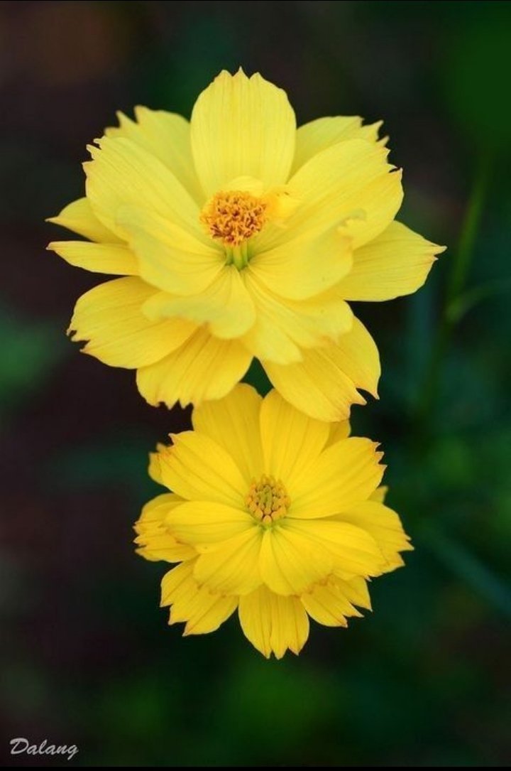 كل يوم هو فرصة لخوض "تجارب" جديدة.. فالحياة مُغامرة!