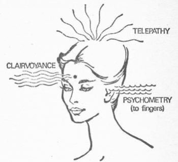 starryeyemystic's tweet photo. “how tf did you know that?” https://t.co/qqVUsg6abv