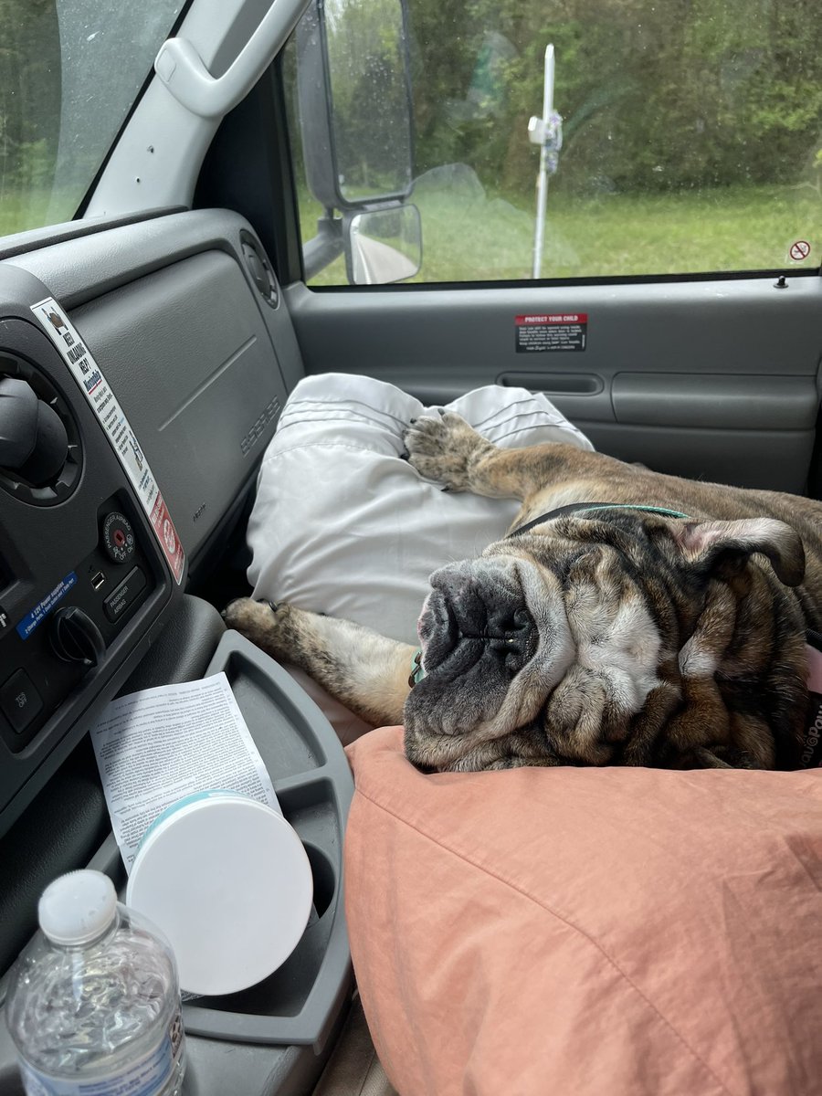 Primmrose tweet media