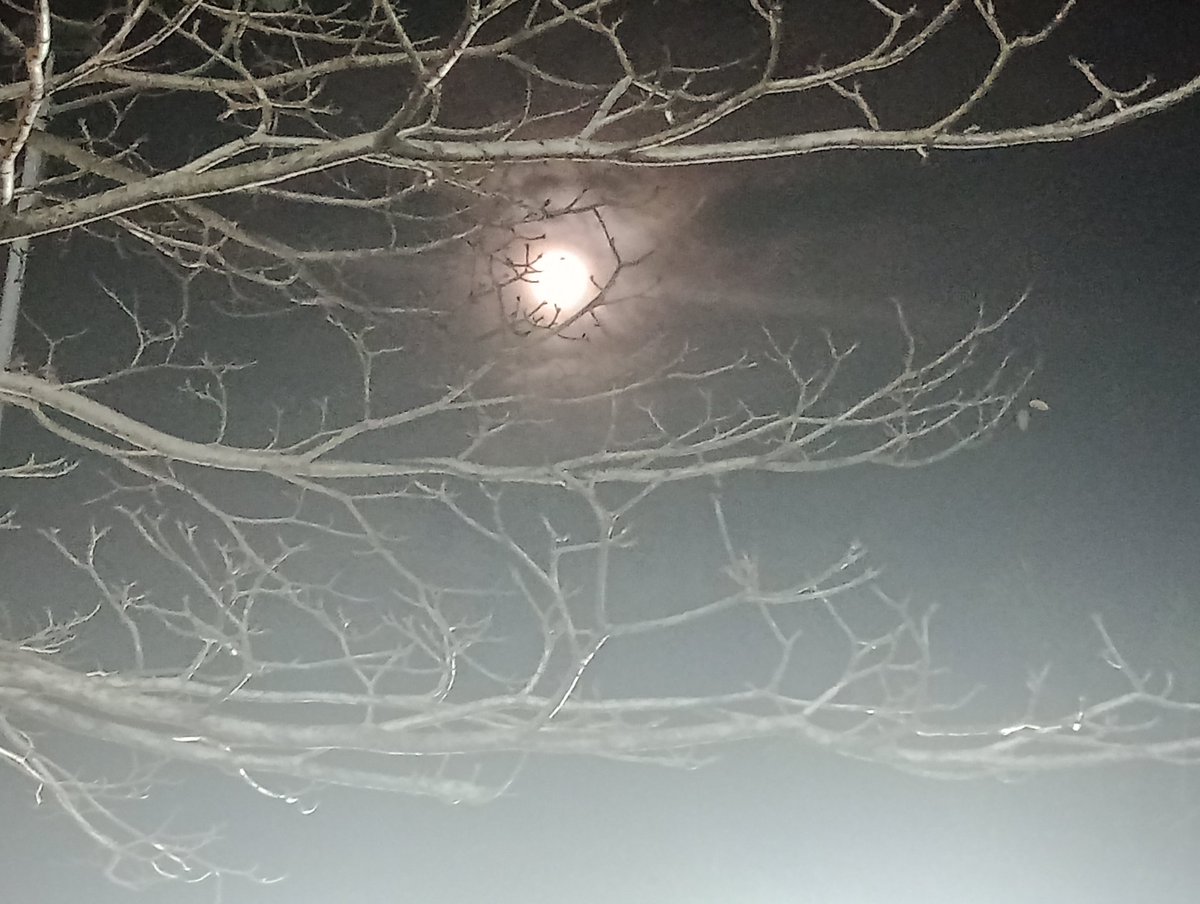 Moon 🌙 Beautiful night ❣️
#onlyfans #Linkinbio #nsfw #sexy #adultcontent
#FeetPictures #lluvia #handsomeboy