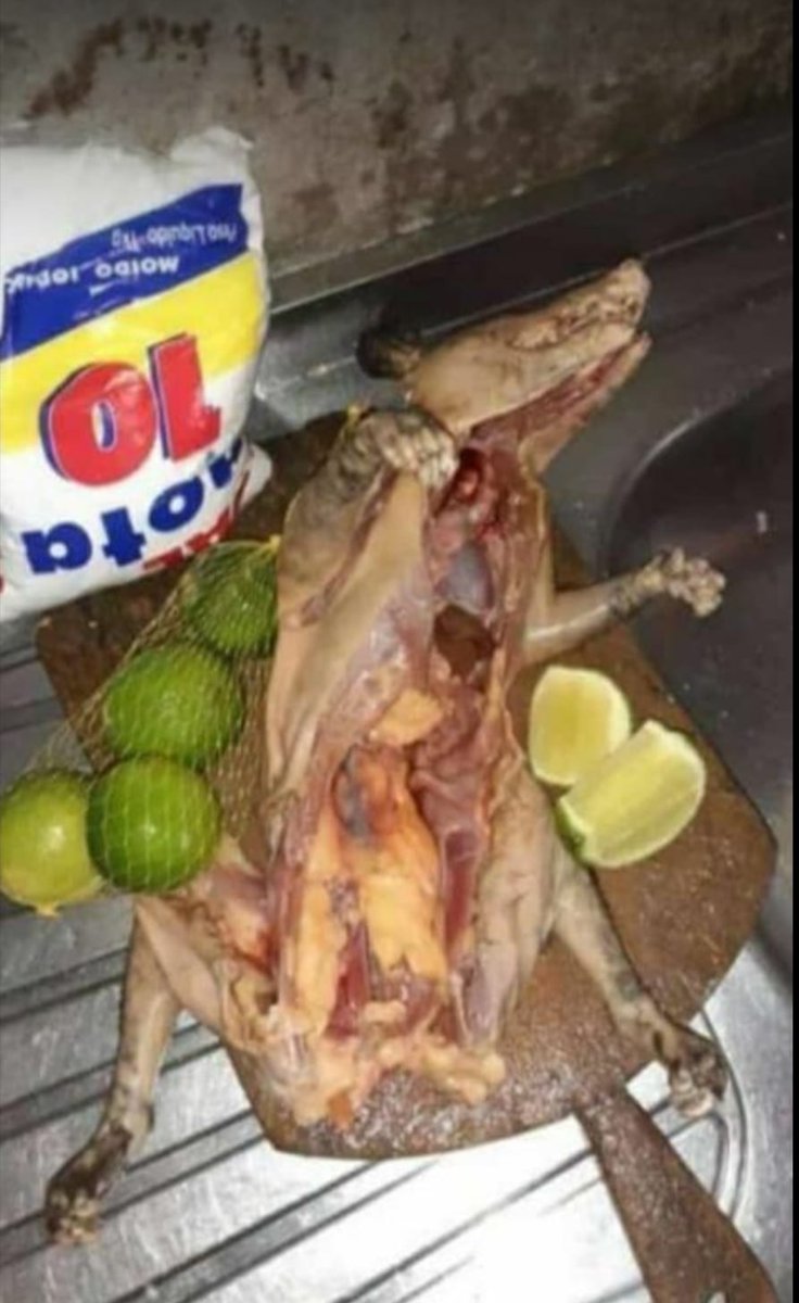EndersonBarra's tweet photo. Até que tá gordinha, sal
Hahaha... https://t.co/CRFA6SalLe