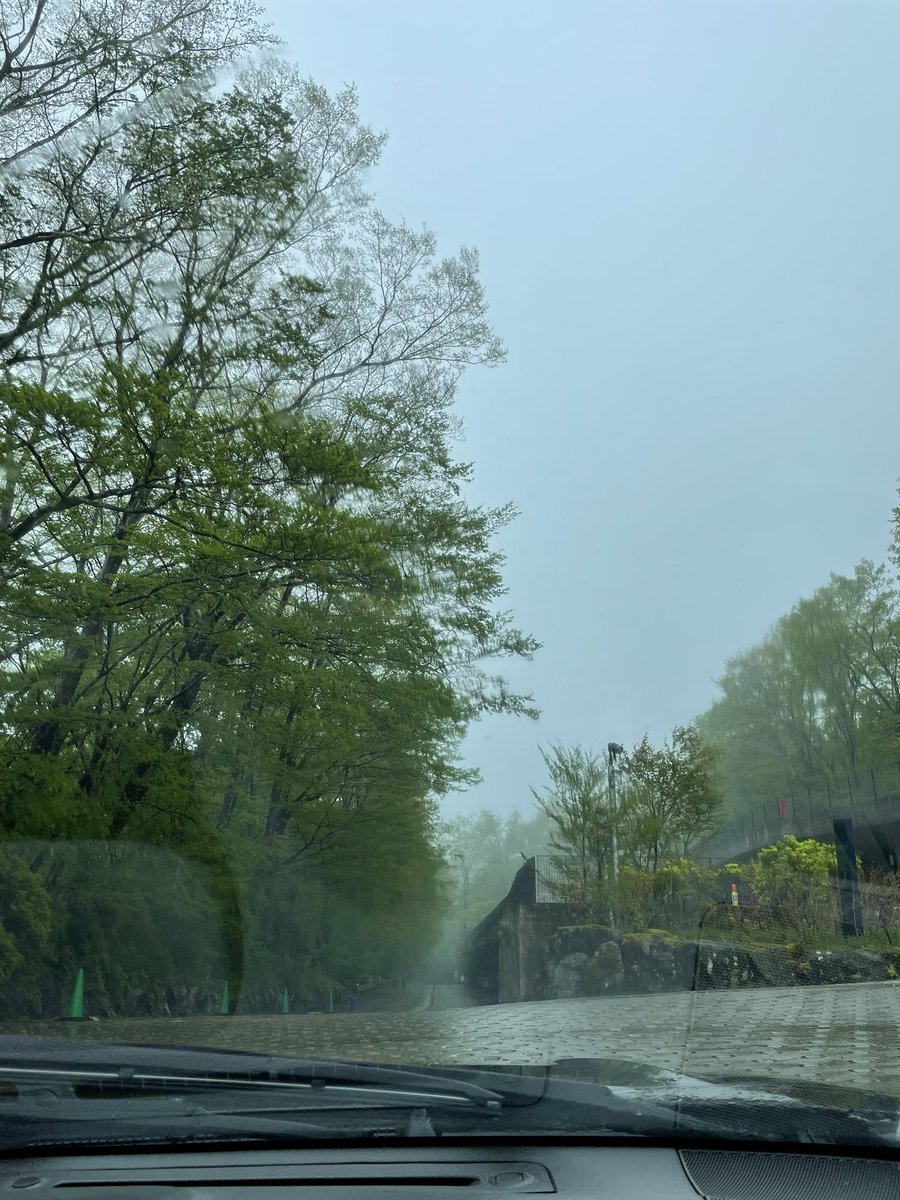 iamshisei's tweet photo. Fog and Storm

#hakone #japan https://t.co/YKIC6zSlSp