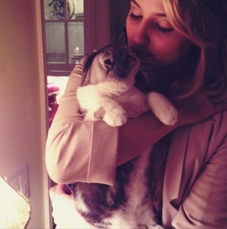 Happy birthday Dianna Agron, you are so loved 