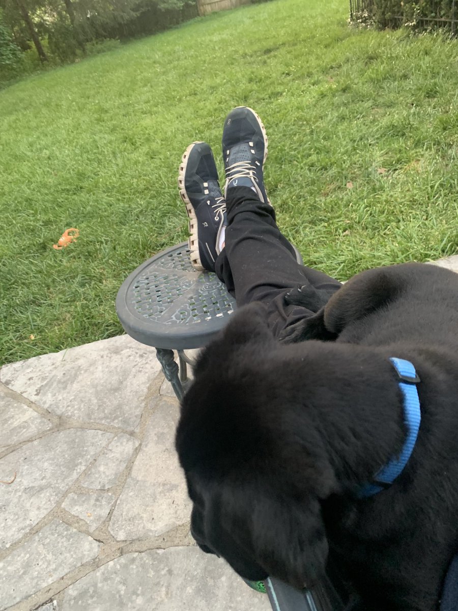 YandellWood's tweet photo. He’s so mean. Wouldn’t let me mow the grass. #laplab #dogsofcre https://t.co/fsVEw46hLo