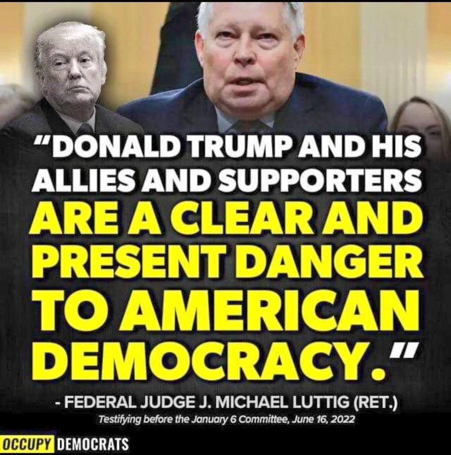 Cavanaugh_X's tweet photo. @RepMTG No! you need to do is Follow up on the work @January6thCmte has done, hold accountable everyone that had anything to do with it, remember what the Republican Federal Judge said Anyone that Likes, Supports Trump all are now Considered American Terrorists, a  Danger to Democracy https://t.co/vFu0jLxLJQ