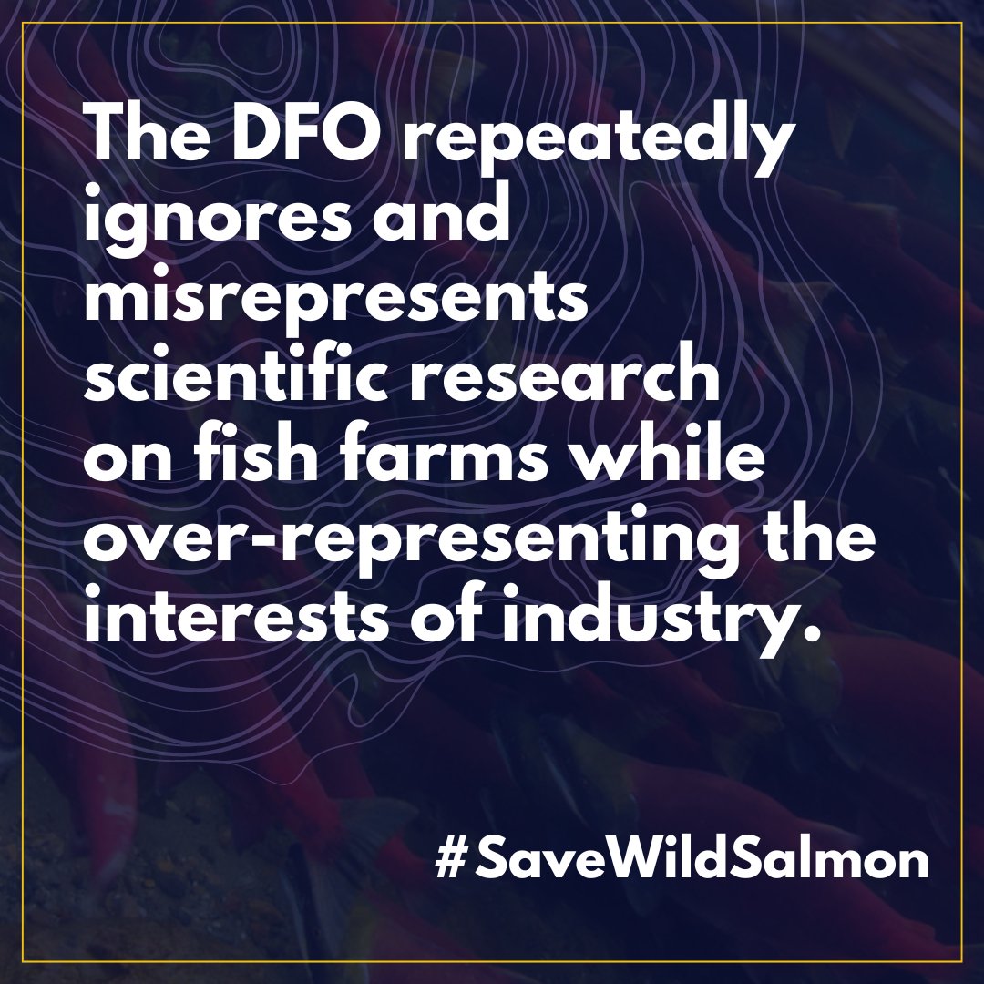 CoastProtectors's tweet photo. We have a responsibility to current and future generations to protect and preserve 
🐟#WildSalmon .

First Nations jurisdiction and laws MUST be included in all planning and decision making in the fisheries sector. 

🧵[1/3] https://t.co/DjbJBGmNyr