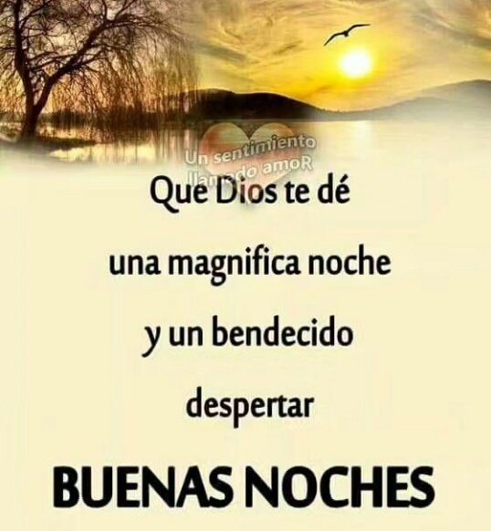 Kamirabal's tweet photo. Feliz descanso! 🙏
Sueñen bonito! 
Hasta mañana! 🤗😘✨ https://t.co/fGgx6tCuLw
