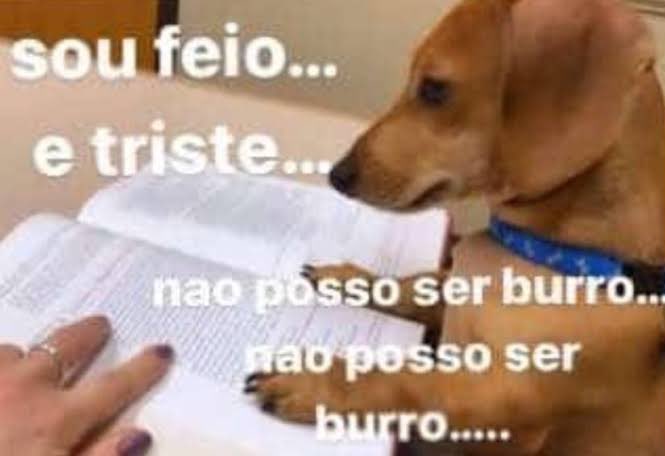 Sou muito ruim em física, alguém recomenda algum canal de física para estudar pro ENEM?
#studytwtbr #studytwt