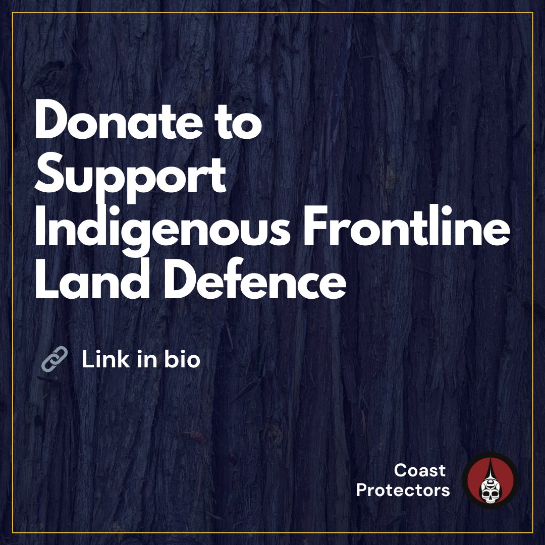 CoastProtectors's tweet photo. Frontline defence is difficult &amp; essential work that requires reliable access to resources.

It's uniquely challenging  due to constant harassment, discrimination, and racialized violence #AbolishCIRG

Donate today to support land defenders as they uphold #IndigenousRights ♥️. https://t.co/Hh0O5shqFQ