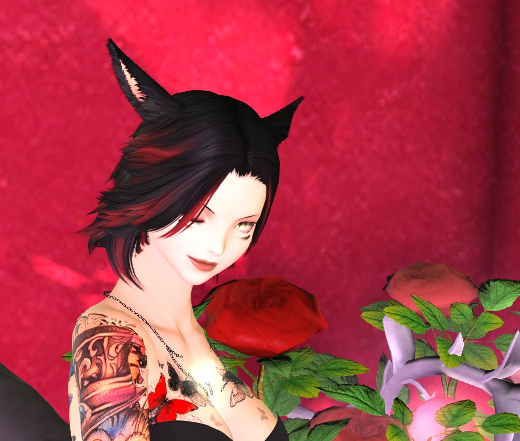 lexiibd's tweet photo. Two Mi'qote and Two Viera walk into a studio, wonder what happened next. 

#NoxStudio
#GPOSER 
#miqote 
#viera https://t.co/Z1bGdKMtKp
