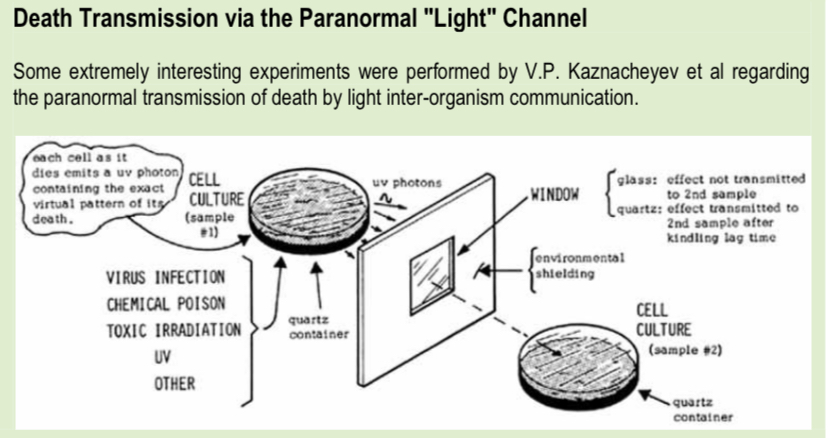 In the mid 1900s

Russian scientist named Kaznacheyev conducted mind bending experiments on the paranormal transmission of death through inter-organism communication via light.