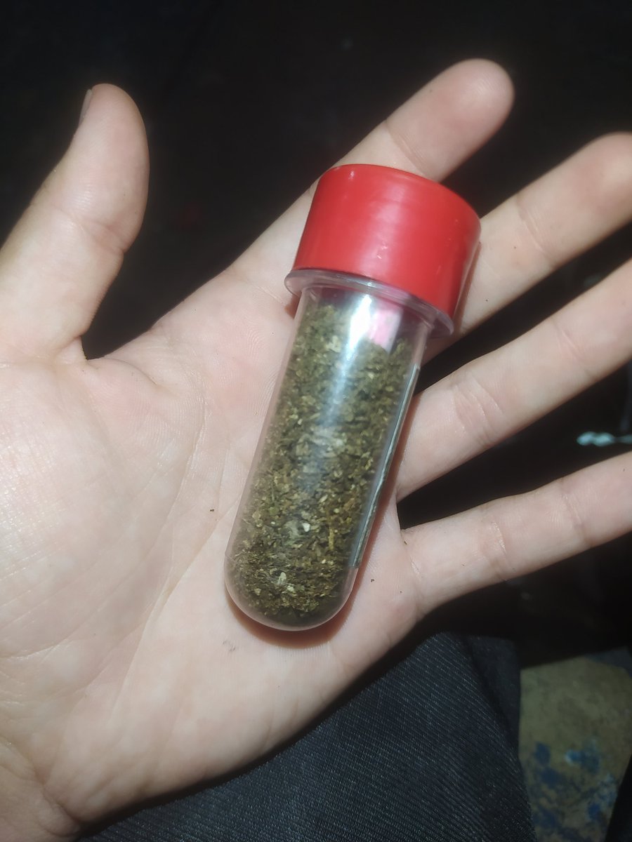 sábado desse