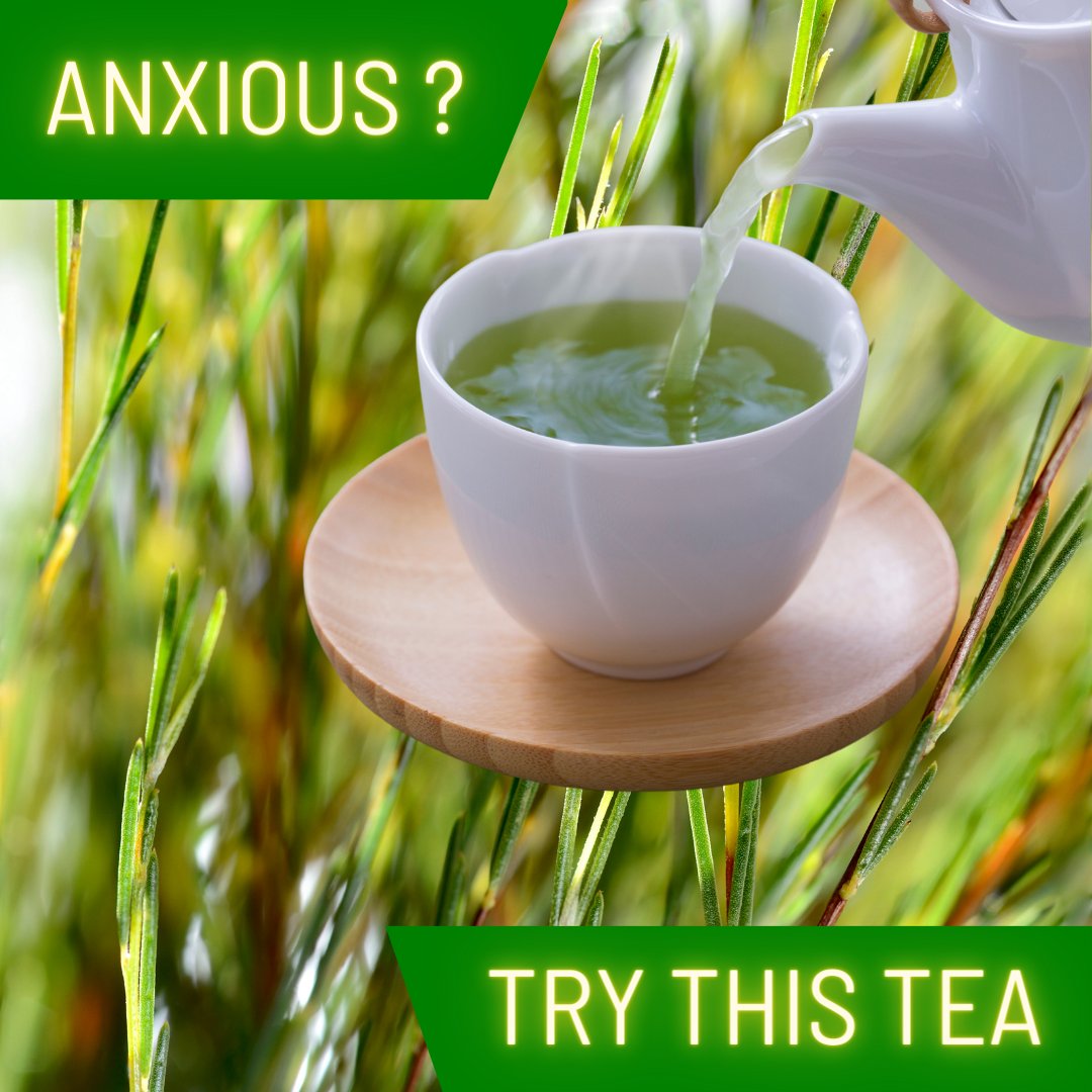 Tega Organic Tea tweet media