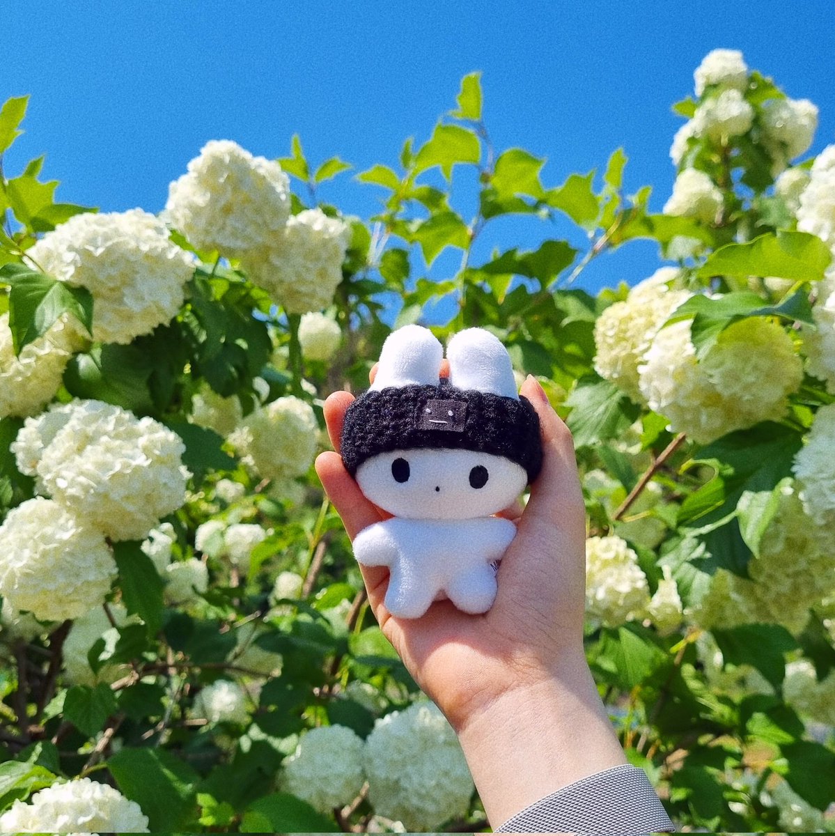 imyourbunny___'s tweet photo. https://t.co/3PprMVf04D