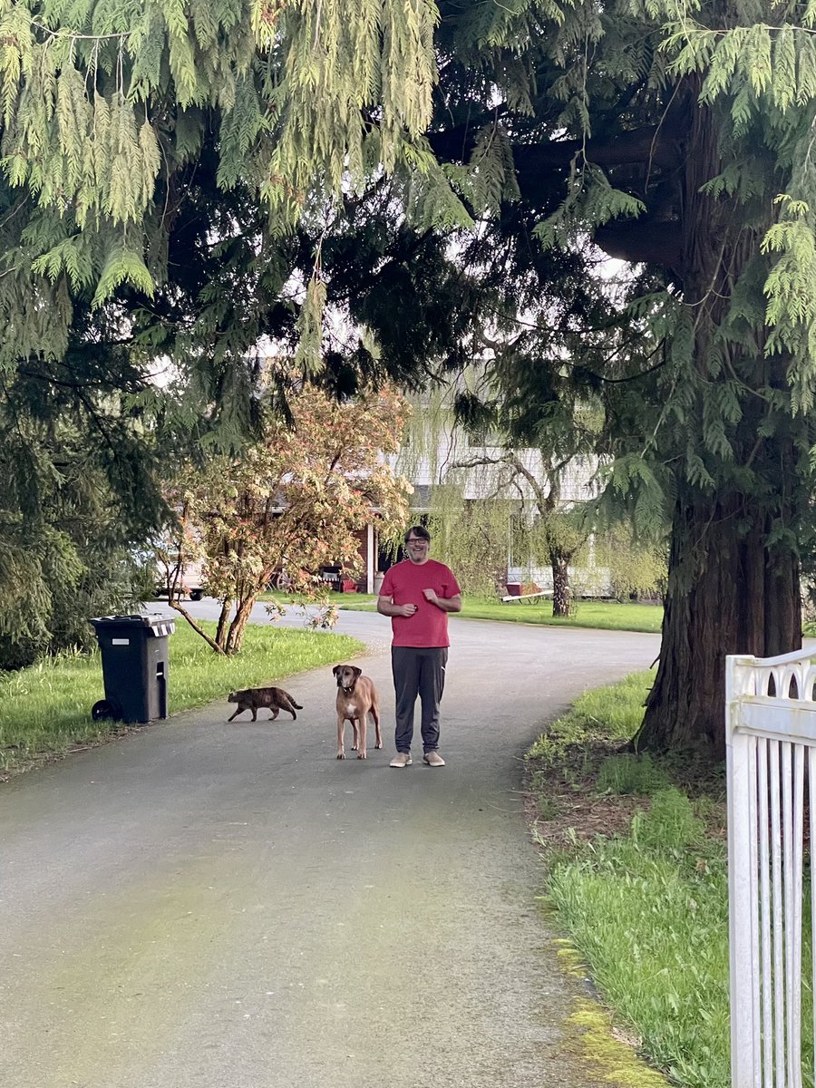drvan's tweet photo. So this weekend we seemed to have past by spring &amp; jumped right into summer. 120°+ in the greenhouse! I made the most of it as #FarmerDave &amp; was #Gratitude101 the entire way. Currently reading #AnnPetry’s #TheStreet for book club while on the swing &amp; listening to the chickens. ❤️ https://t.co/Y9L6vaX8St