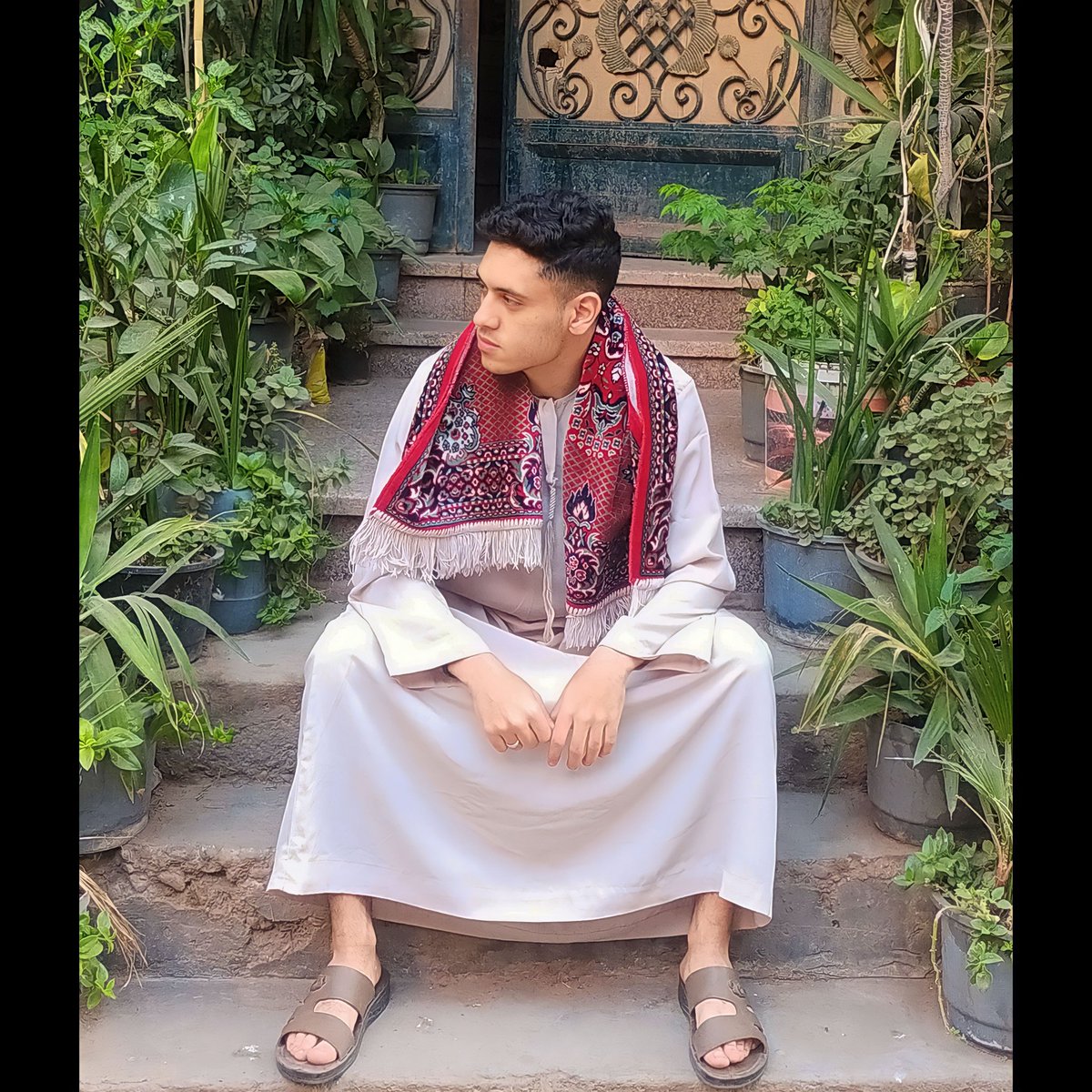 Bit0oo's tweet photo. زعتر العمدة👍🏻 https://t.co/jFYccRLdQn