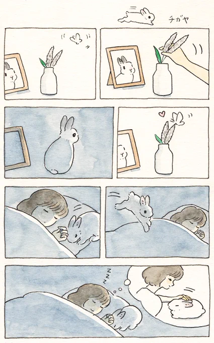 チガヤ🌾🐇