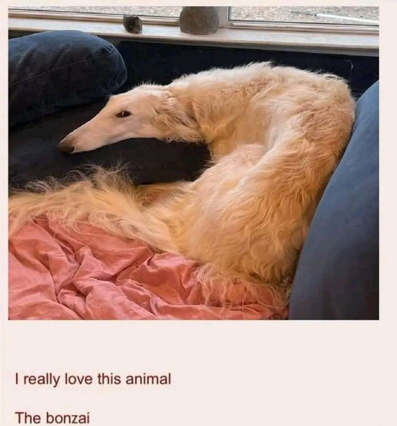 ShitpostGateway (@shitpostgate) on Twitter photo 