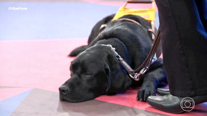 A cantora Kátia e o seu cãozinho guia Willi #AltasHoras