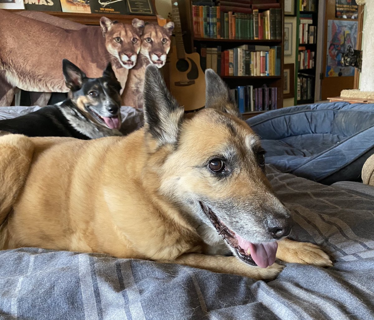 Beth Pratt tweet media