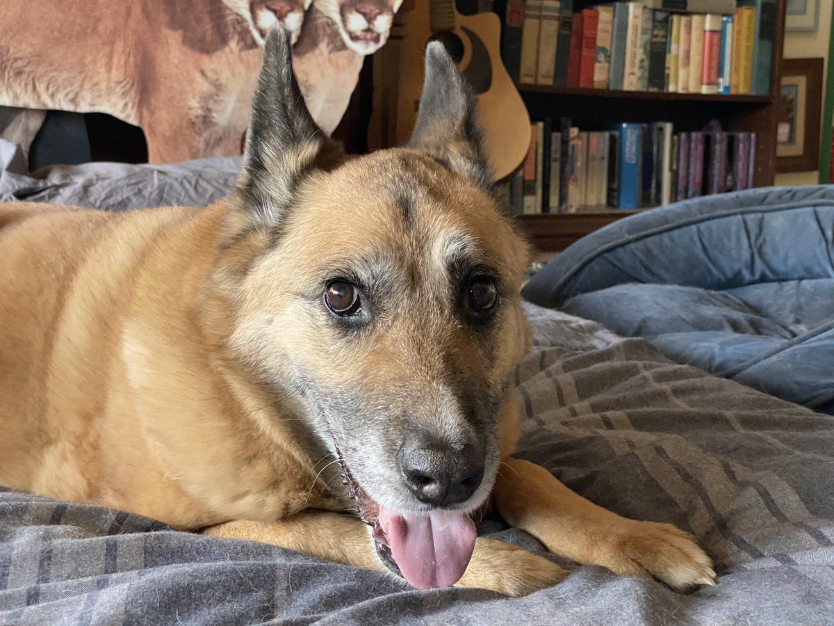 Beth Pratt tweet media