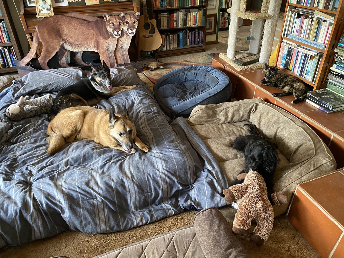 Beth Pratt tweet media