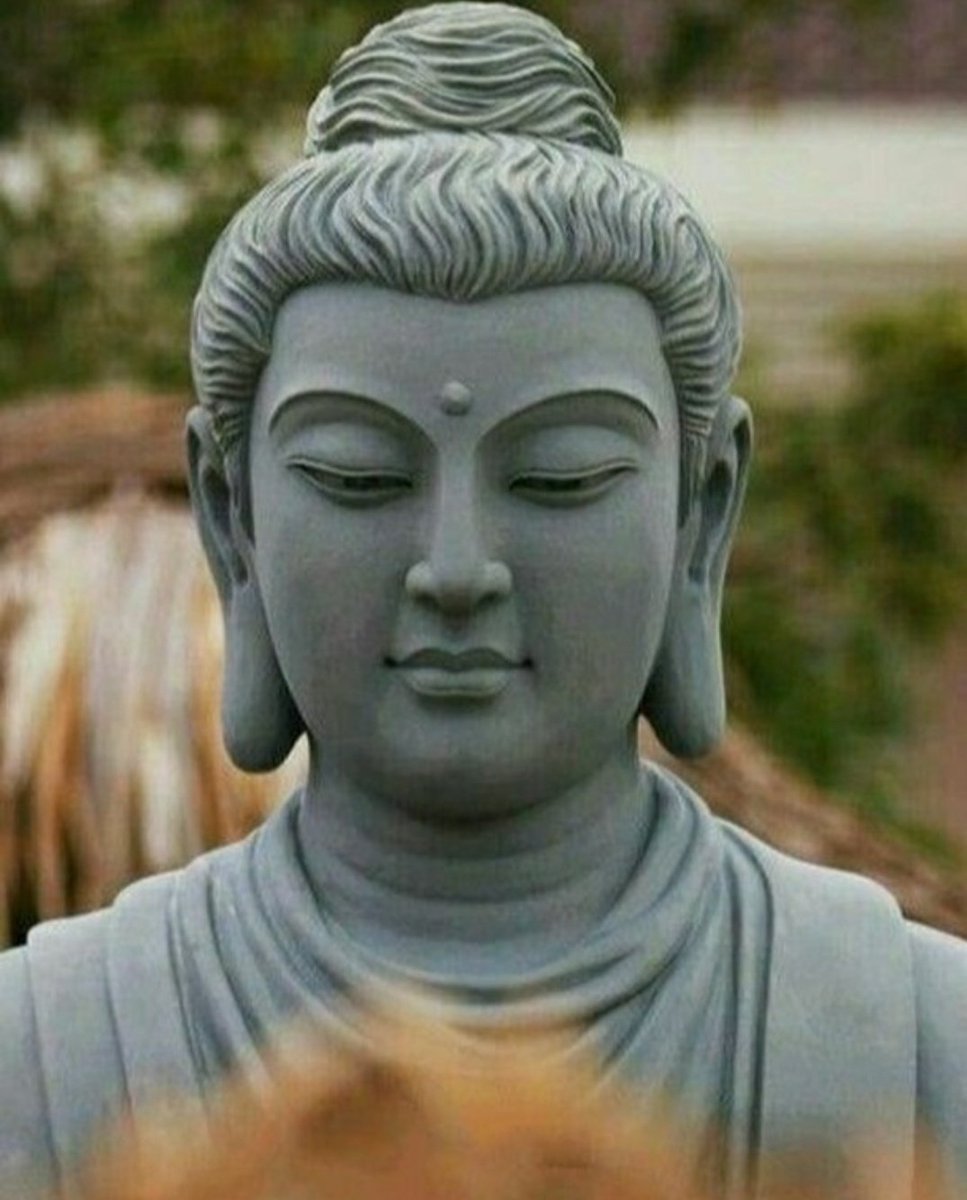 Maha Bodhi Society of India tweet media