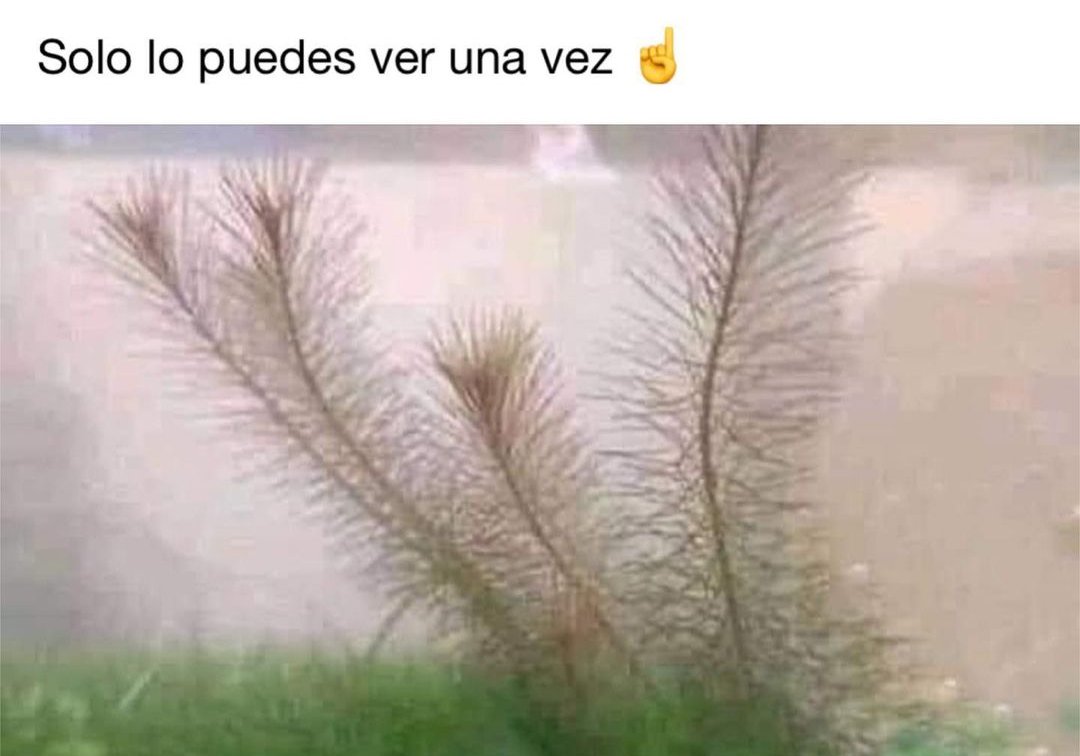 soylaalterna2's tweet photo. Sin hacer trampa 🙊 https://t.co/dFkDqTgDo3