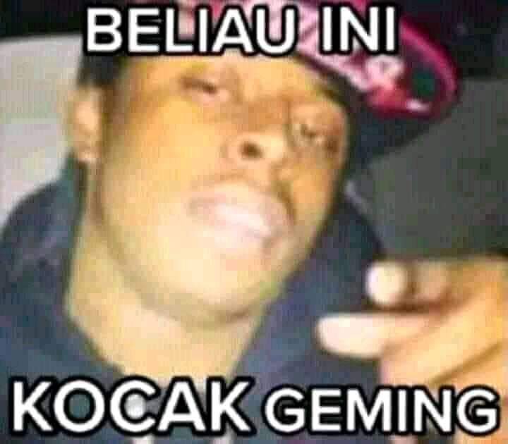 shEeshaA (@assshaae) on Twitter photo 